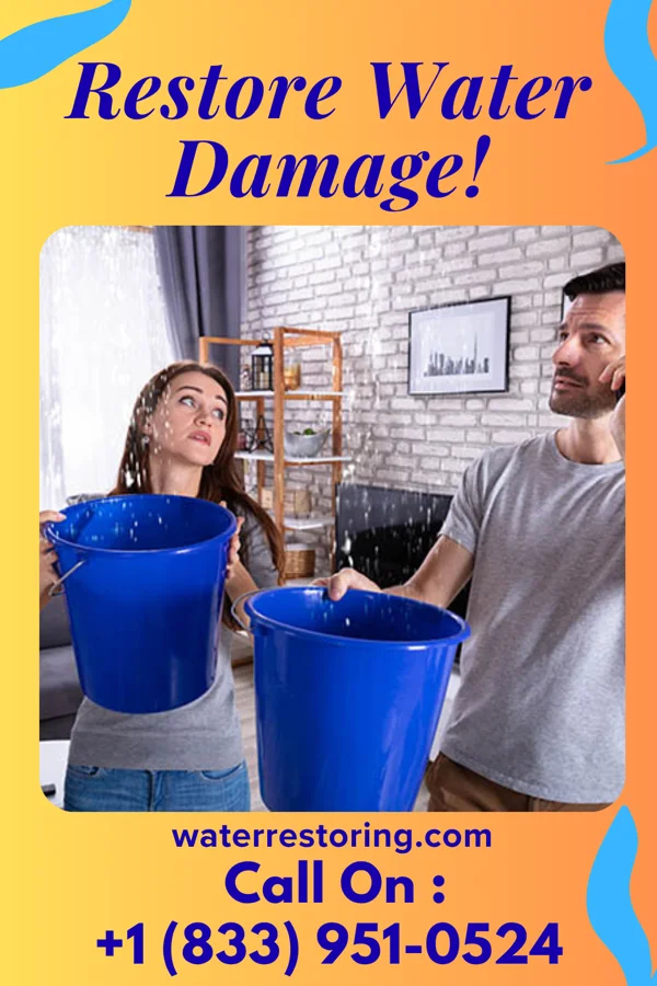 water restoration Precision Mitigation East Bend