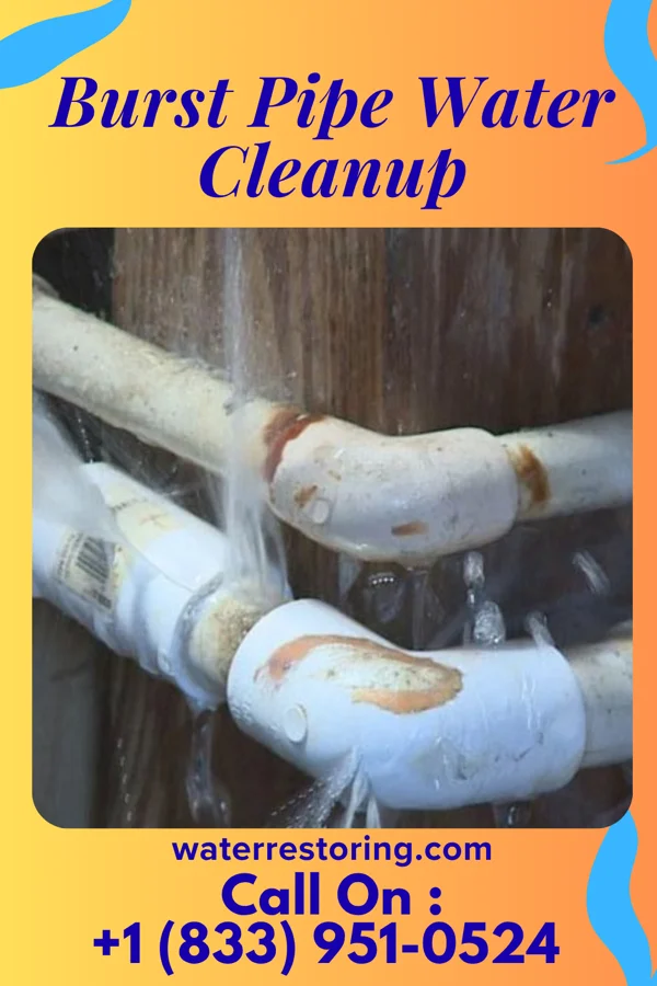 Burst Pipe Water Cleanup in East Bend, NC