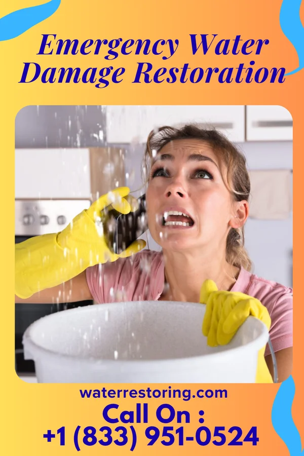 Emergency Water Damage Restoration in East Bend, NC