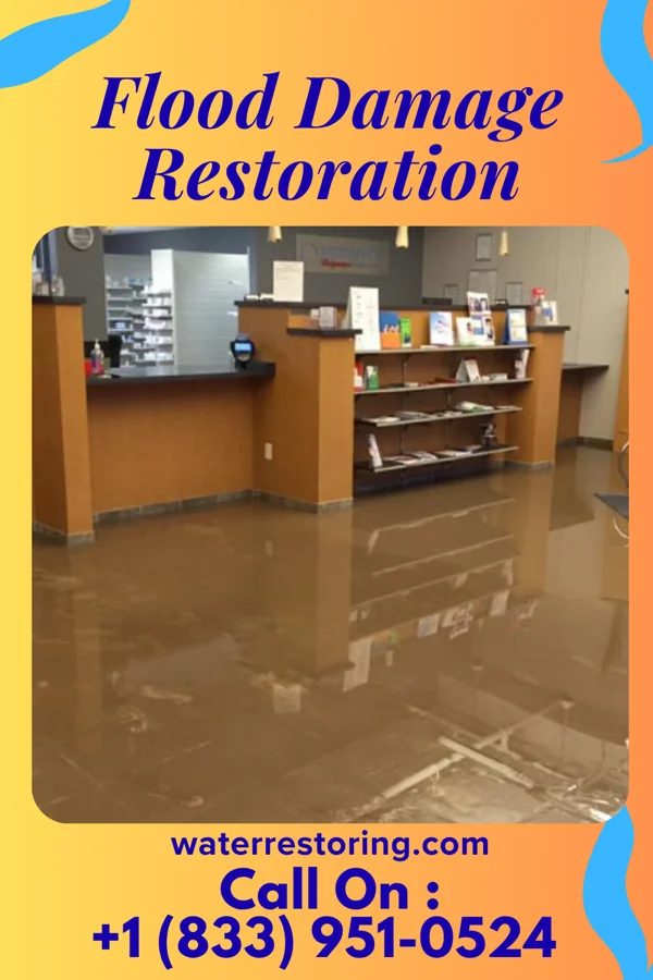 Flood Damage Restoration in East Bend, NC