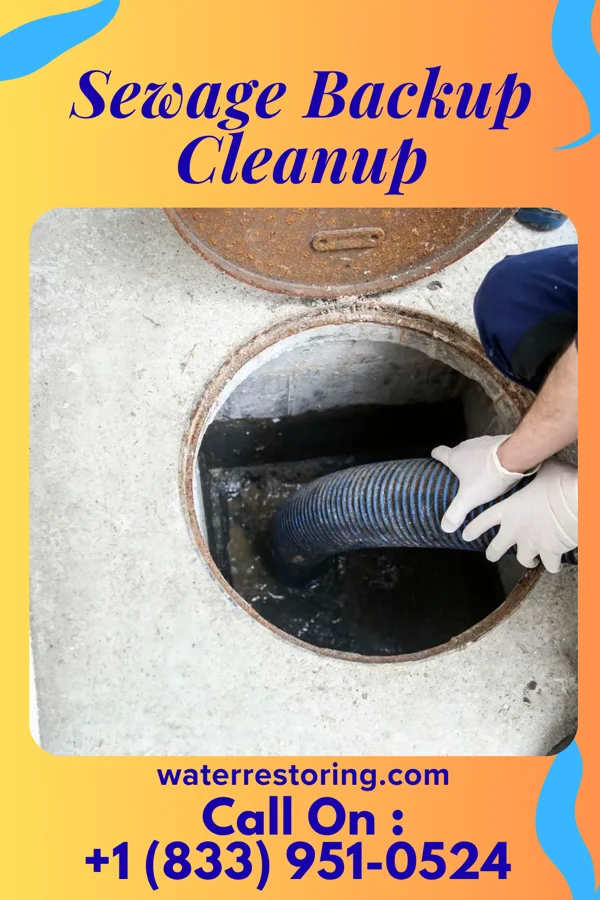 Sewage Backup Cleanup in East Bend, NC