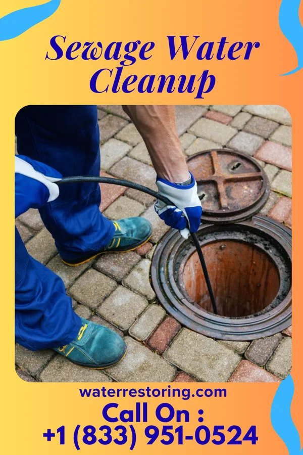 Sewage Water Cleanup in East Bend, NC