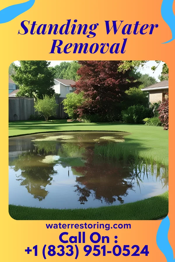 Standing Water Removal in East Bend, NC